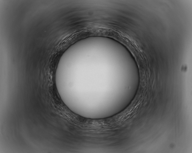X0000100861013200806200832