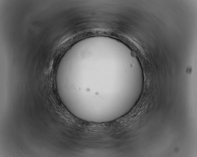 X0000100861015200806200832