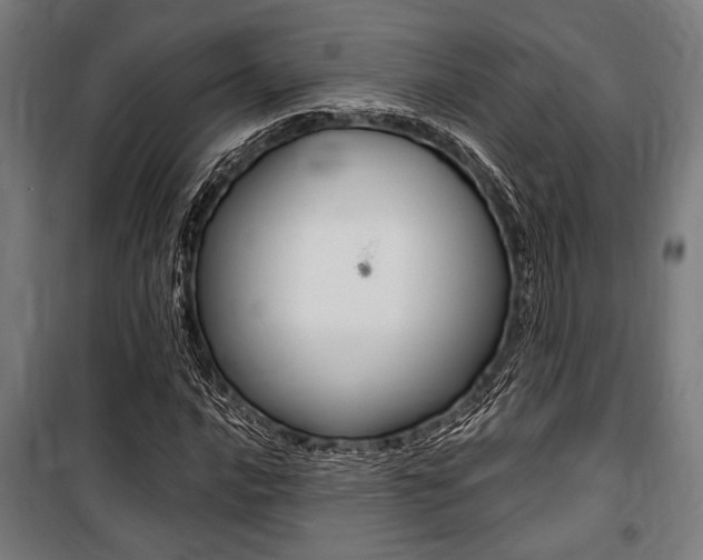 X0000100861016200806200832