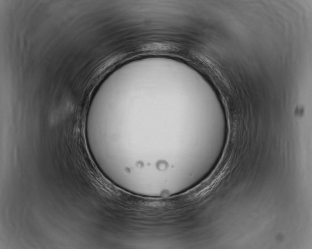 X0000100861017200806200832