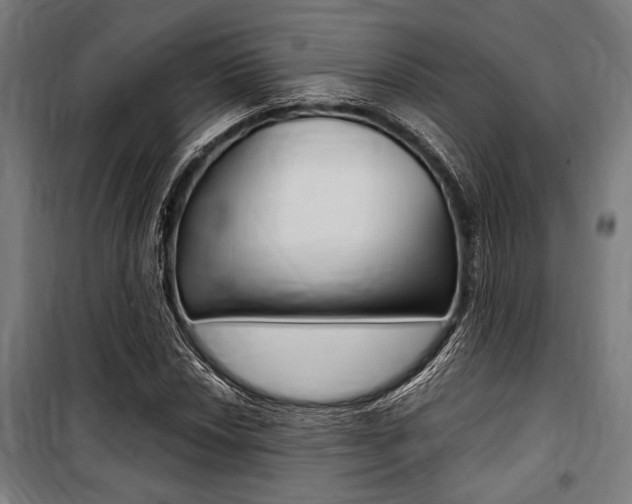X0000100861018200806200833