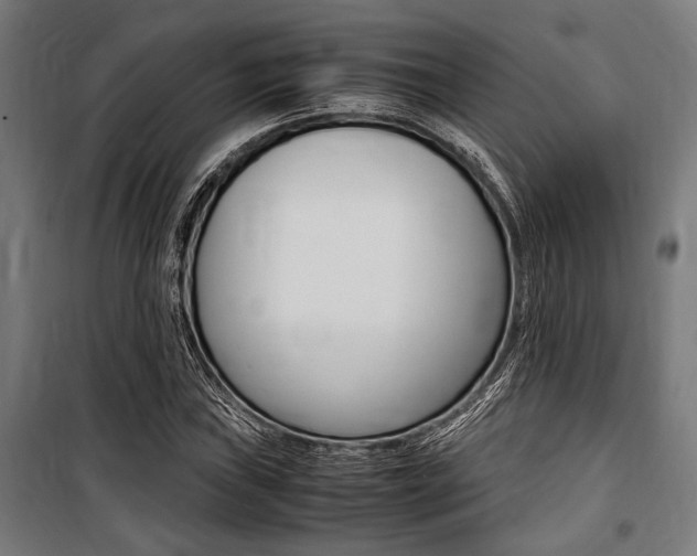 X0000100861019200806200833