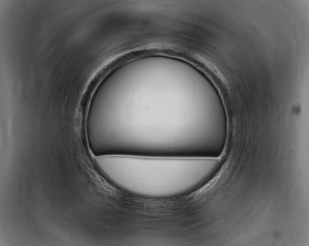 X0000100861021200806200833