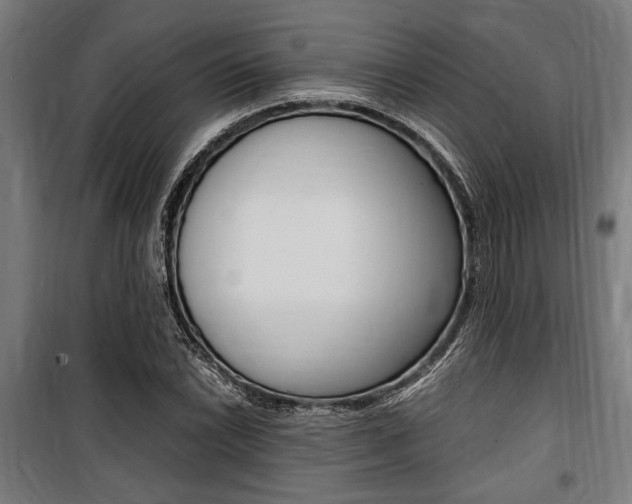 X0000100861022200806200833