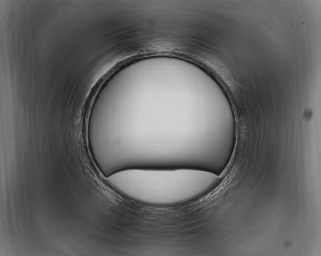 X0000100861023200806200833
