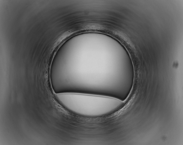 X0000100861025200806200833