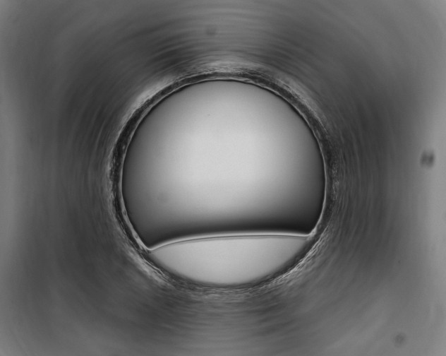 X0000100861026200806200833
