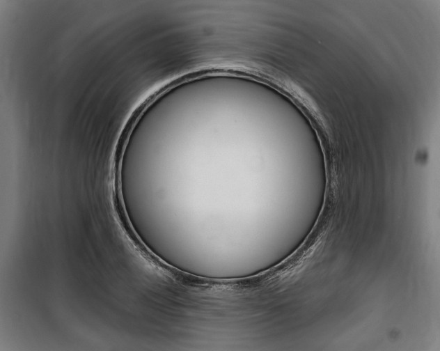 X0000100861028200806200833