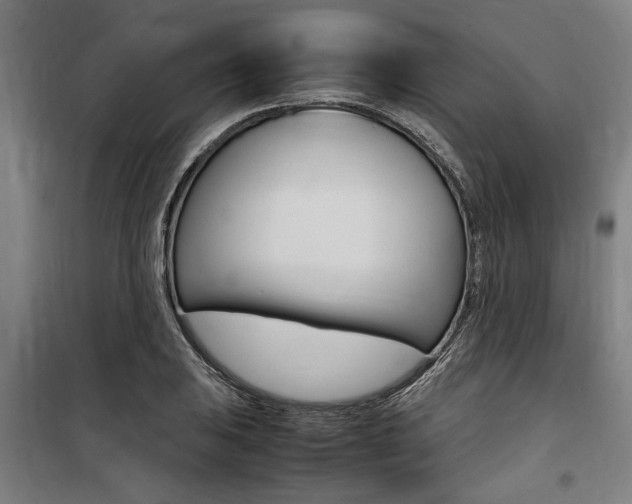 X0000100861031200806200833