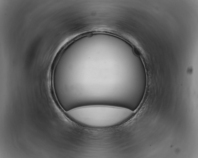 X0000100861032200806200833