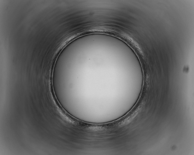 X0000100861033200806200833