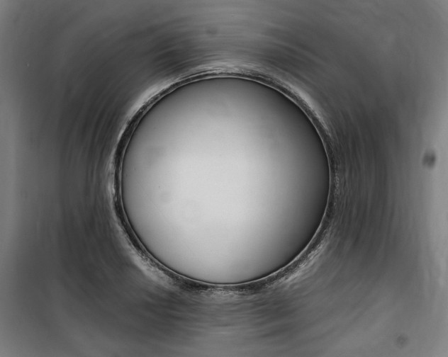 X0000100861034200806200833