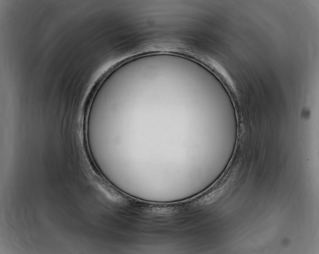 X0000100861035200806200833