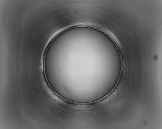 X0000100861036200806200833