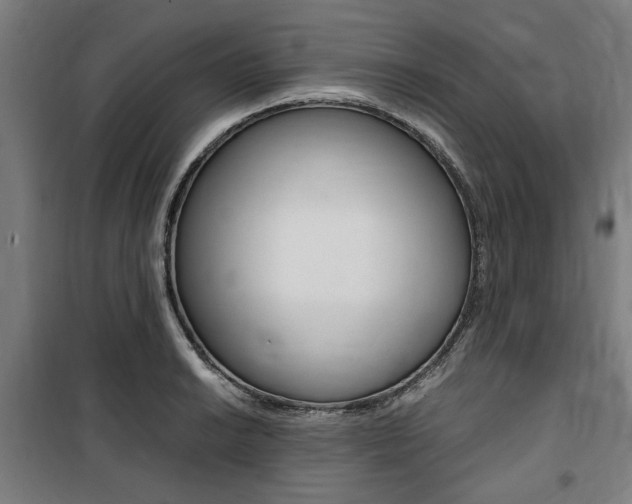 X0000100861038200806200833
