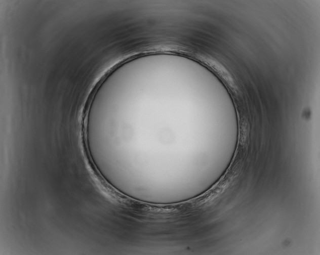 X0000100861039200806200833