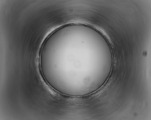 X0000100861040200806200833