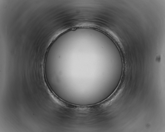 X0000100861041200806200833