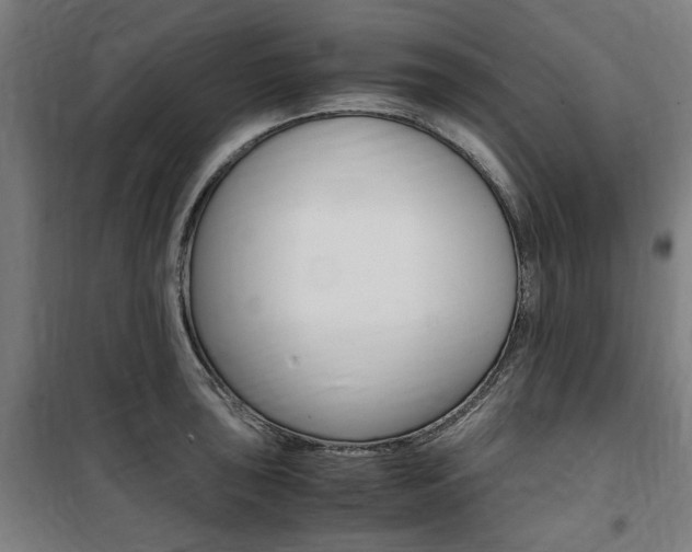 X0000100861043200806200833