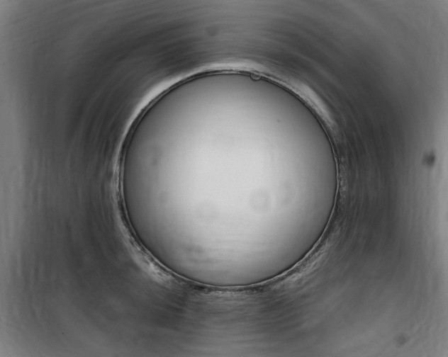 X0000100861044200806200833