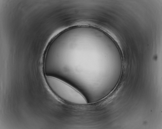 X0000100861045200806200833