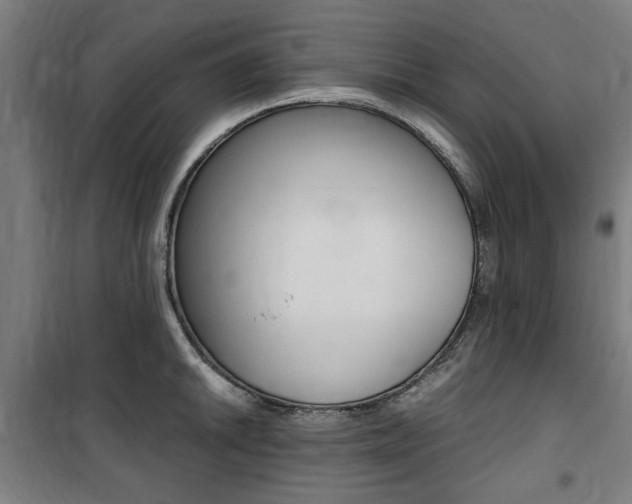 X0000100861046200806200833