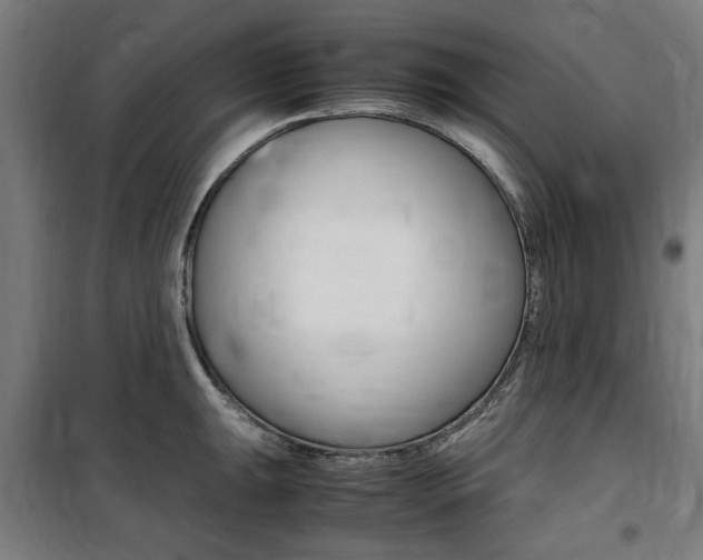 X0000100861047200806200833