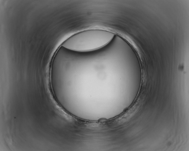 X0000100861048200806200833