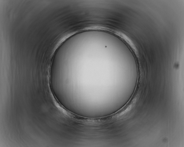 X0000100861049200806200833