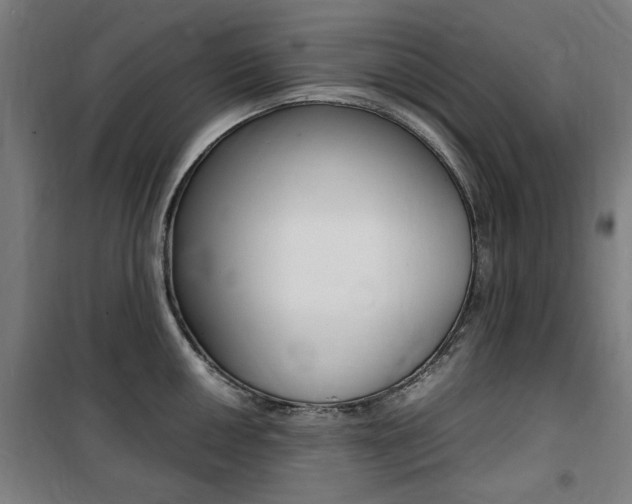 X0000100861050200806200833