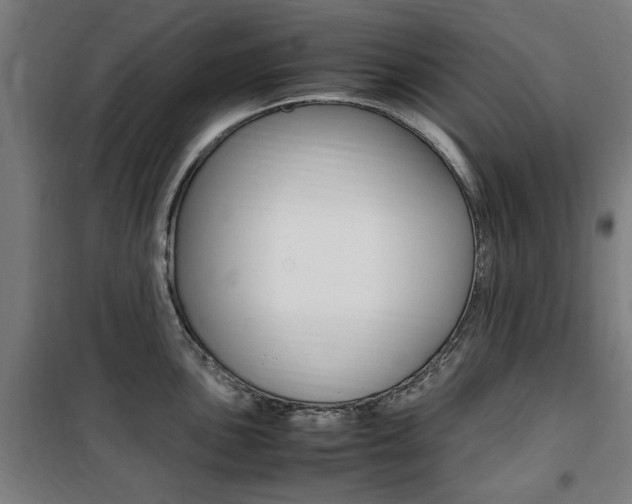 X0000100861051200806200833