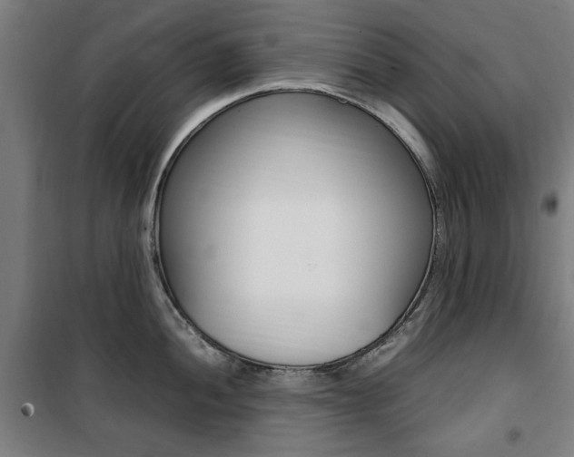 X0000100861052200806200833