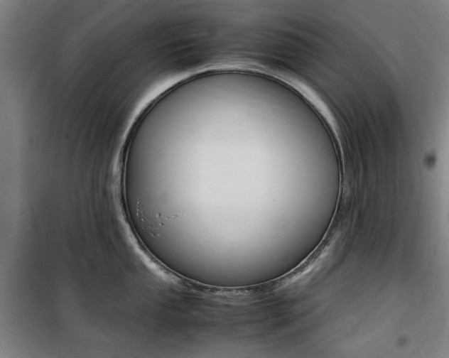 X0000100861053200806200833