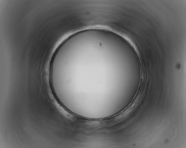 X0000100861054200806200833