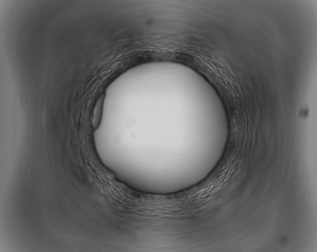 X0000100861057200806200832