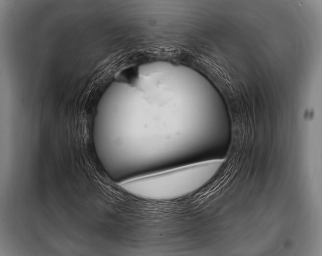 X0000100861058200806200832