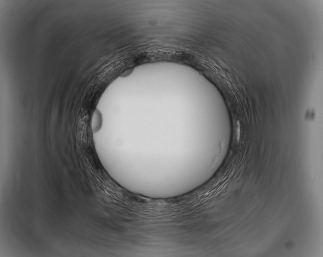 X0000100861059200806200832