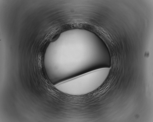 X0000100861060200806200832