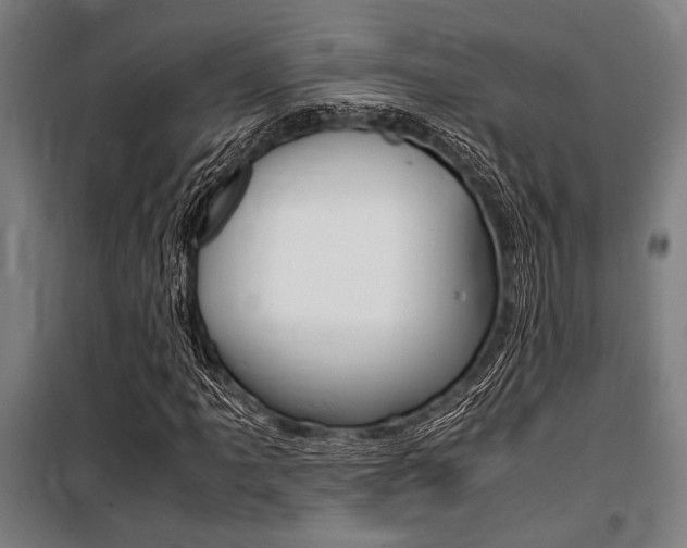 X0000100861061200806200832