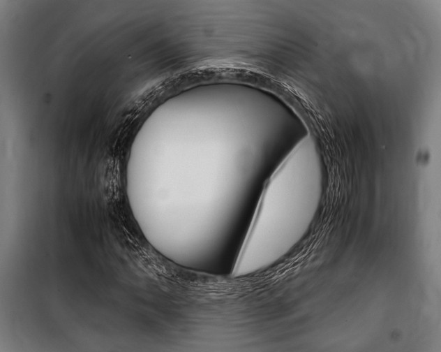 X0000100861062200806200832