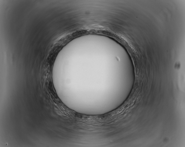 X0000100861063200806200832