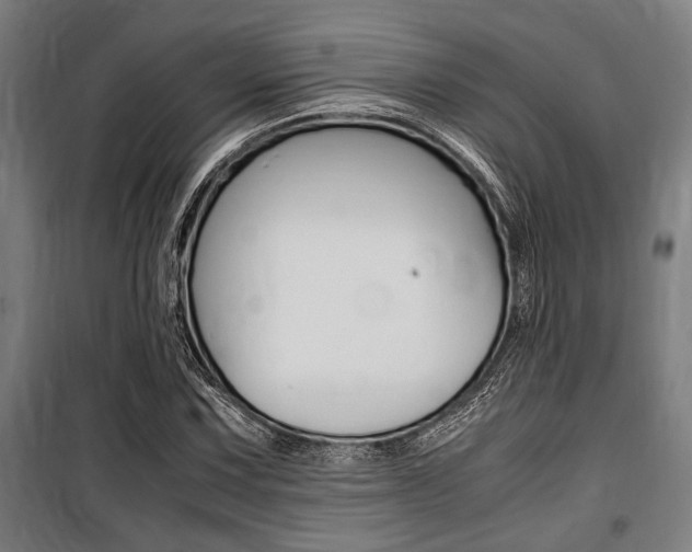 X0000100861067200806200832