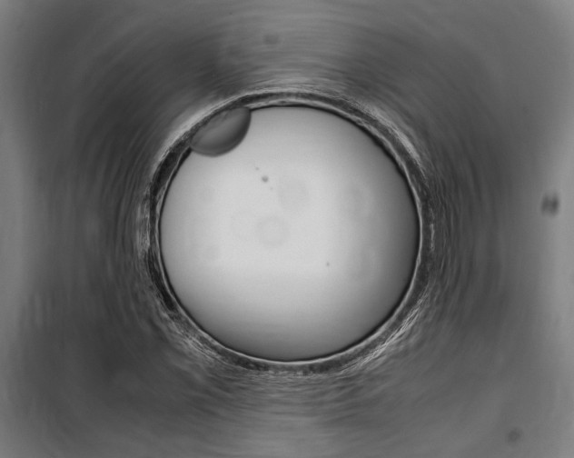 X0000100861069200806200832
