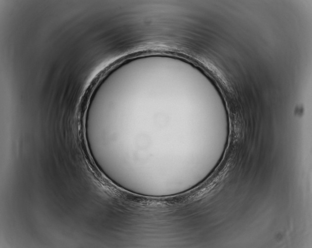 X0000100861070200806200832