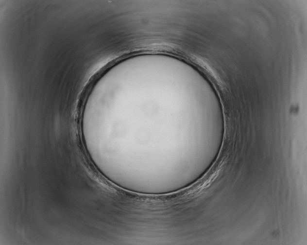 X0000100861071200806200832