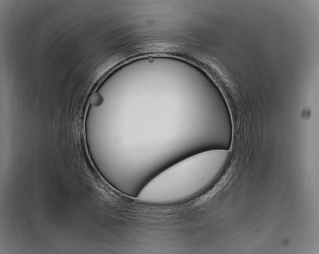 X0000100861073200806200832