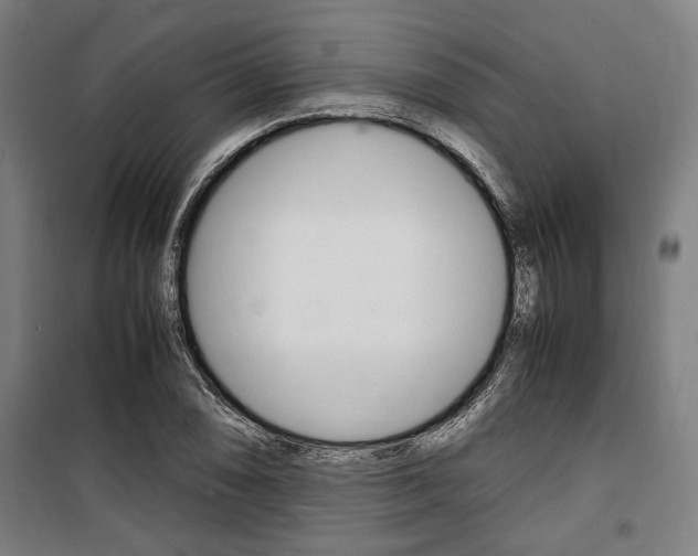 X0000100861074200806200832