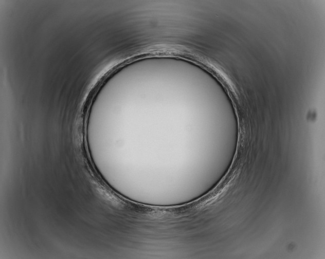 X0000100861075200806200832