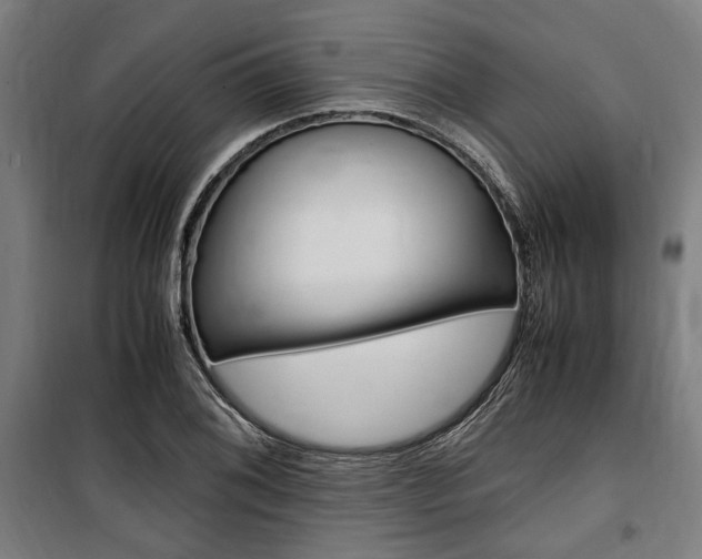 X0000100861076200806200832