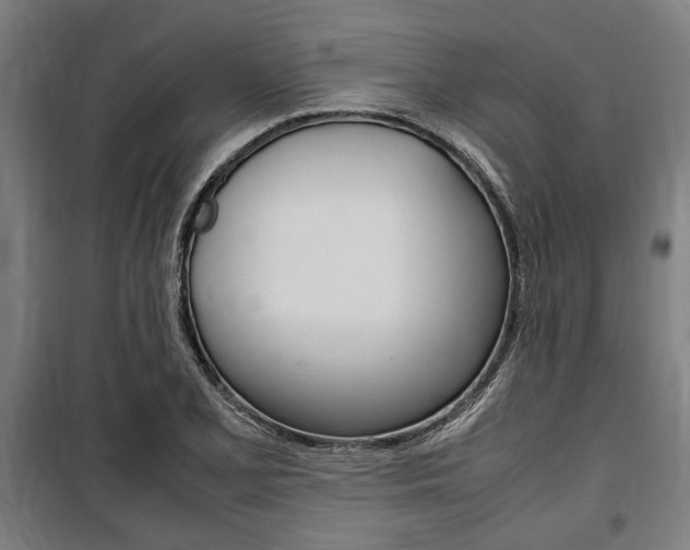 X0000100861077200806200832